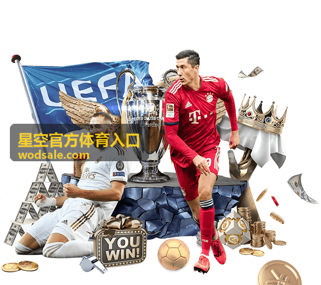 星空官方体育入口 地址逐字核对演示