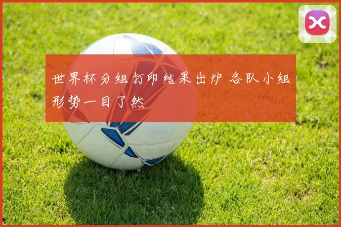 世界杯分组打印结果出炉 各队小组形势一目了然
