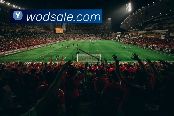 买球官方服务体系