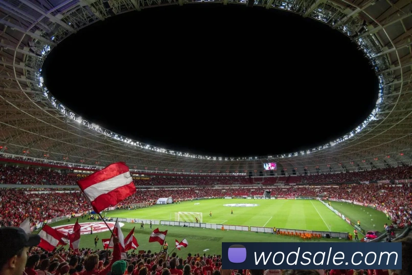 多媒体互动体验